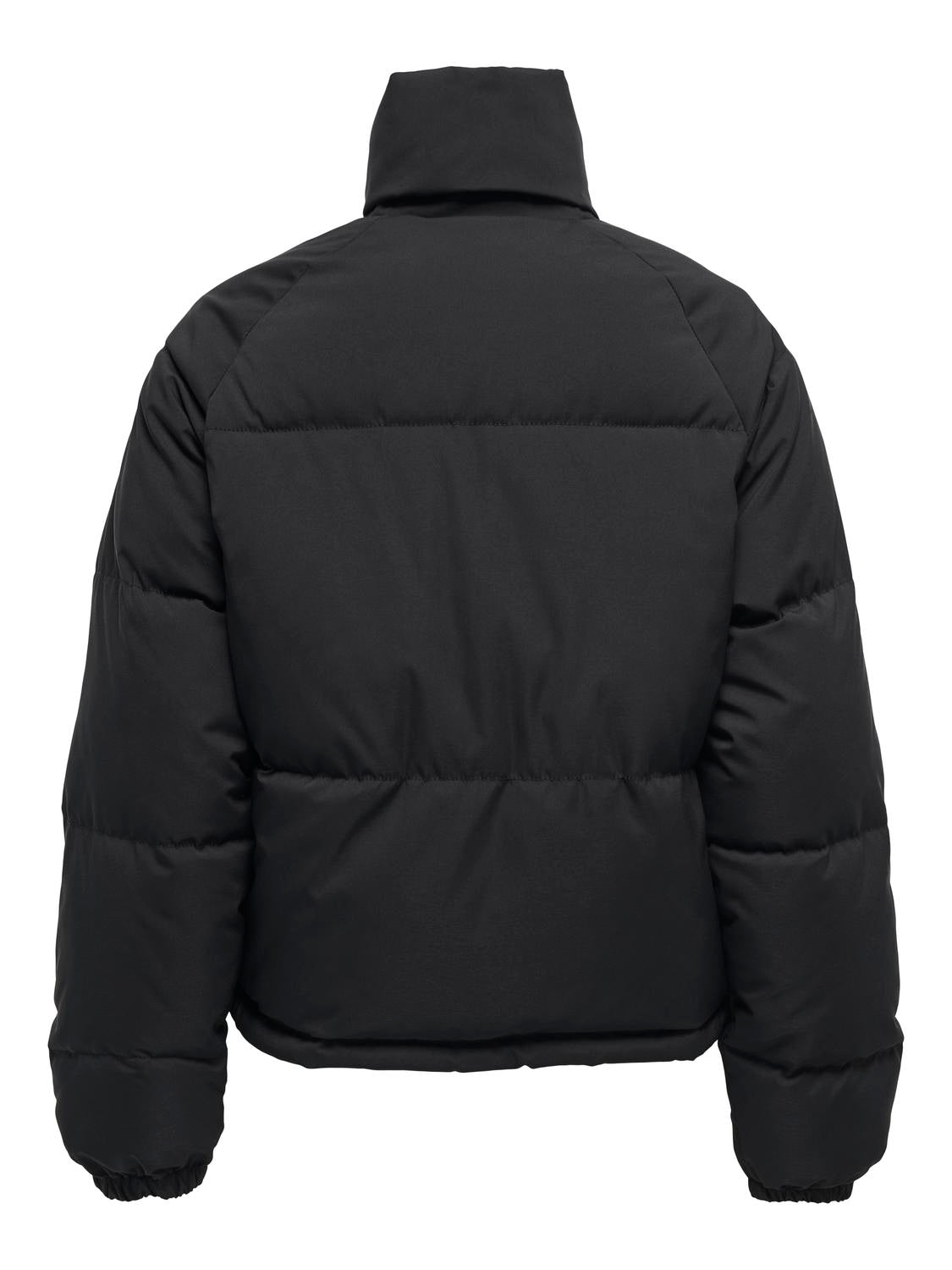 pack_shot-back